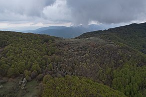 Пејзаж на планината