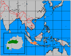 A seta alaranjada aponta a ilha de Bawean. O verde indica a área aproximada na qual se distribui a espécie.