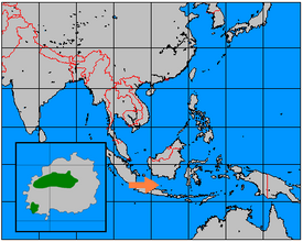 Baweaninkauriin levinneisyys