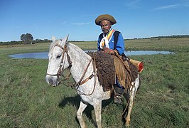 Cavalier Gaucho brésilien âgé.