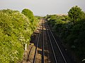 Standing on top of Blackhall bridge facing towards Hartlepool