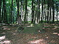 Blocksteinkistengrab auf dem Zimmerberg