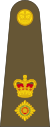 Lieutenant-colonel