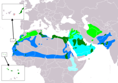 Distribución de Cursorius cursor