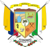 Coat of arms of Icononzo