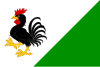 Flag of Vyšehněvice