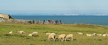 Sicht auf die White Cliffs of Dover vom Cap Gris-Nez