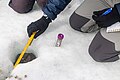 Measuring a cryoconite hole, Longyearbreen Glacier (Longyear Valley)