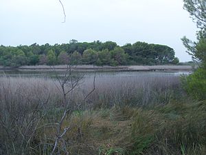 ジノーザの風景