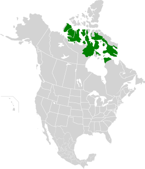 Description de l'image Middle Arctic tundra map.svg.