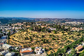 תל קריית יערים, בראש התל נראים המנזר והכנסייה של גבירתנו של ארון הברית. סביב לתל, בתי אבו גוש והישוב קריית יערים. מרחוק גבעת יערים ומאחוריה הר הטייסים ורמת רזיאל.