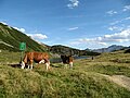 Almidylle am Oberhüttensee