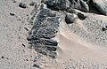 Érosion éolienne des récifs de granodiorite près de la plage de Punta Lomitas, désert d'Ica, Pérou.