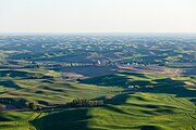 Steptoe Butte's summit provides scenic views of the Palouse farmland, seen here in the late spring.