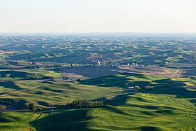 Le sommet de Steptoe Butte offre une vue panoramique sur les terres agricoles de Palouse, vues ici à la fin du printemps.