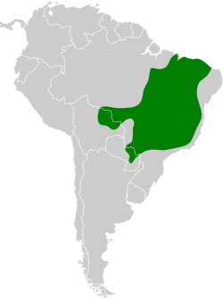 Distribución geográfica del pepitero de corbata.