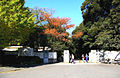 東京都庭園美術館正門