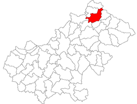 Location in Satu Mare County