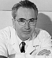 Viktor Frankl.