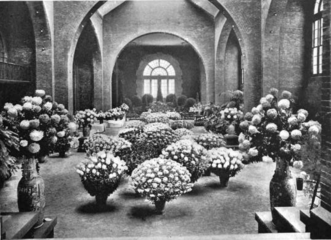 1901, Chrysanthemum show