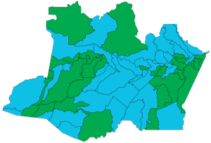 Elecciones estatales de Amazonas de 2022