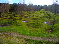 Image illustrative de l’article Forêt domaniale de Verdun