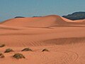 Coral Pink Sand Dunes State Park