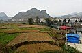 Crop fields on the outskirts