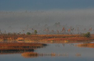 Lac #rm8stu en octobre.