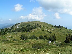 Le Grand Crêt vu depuis le crêt de la Neige.