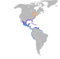 Aire de répartition de la Mouette atricille