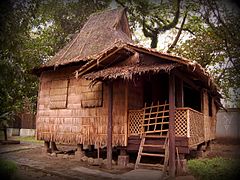Preserved traditional house of President Manuel L. Quezon's parents in Baler, Aurora. It uses pawid (nipa thatch) as both roofing and walls.