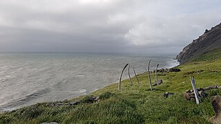 Structure en os de baleine, proximité du site de Naukan (2018).