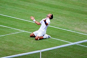 Novak Djokovic celebrates his 2011 Wimbledon semi-final win over Jo-Wilfried Tsonga. The victory meant that Djokovic successfully clinched the ATP world No. 1 Ranking for the first time in his career on 1 July 2011. He also reached his first-ever Wimbledon final, which he eventually won.
