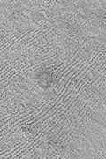 Patterned ground was once called fingerprint terrain because it looked like giant fingerprints. The dark dots are actually chains of low mounds. The center circular feature is a ring of dark boulders on the rim of a buried crater. Picture from Mars Global Surveyor.