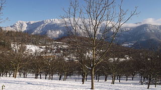 Vinay et ses noyeraies sous la neige, en hiver