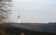 Der Sendeturm gesehen von der Sophienalpe