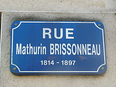 Plaque rectangulaire indiquant « rue Mathurin Brissonneau 1814-1897 » en blanc sur fond bleu.