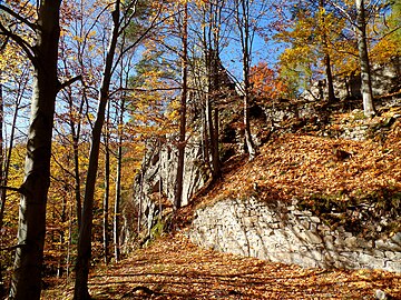 Ruines de château de Rychleby.