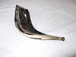A small shofar made from a ram's horn.