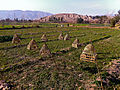 Image 20Songbirds in cages at a farm in Nangarhar Province, used for the pleasure of the site's farmers (from Culture of Afghanistan)