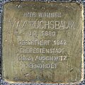 Max Buchsbaum