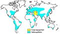 Culturas de trigo (cyan) e sua origem (amarelo).