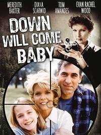 The poster shows a happy family as seen through a camera lens; a creepy woman stands off to the side with a camera in hand.