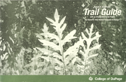 Trail Guide