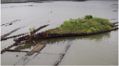 Various submerged shipwrecks and one shipwreck looking like a plant-covered island