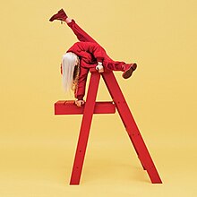 A girl is seen on ladder.