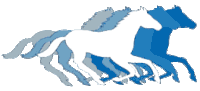 Minnesota Fillies logo