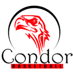 Condor logo