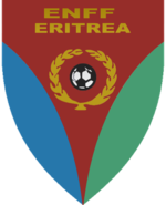 Shirt badge/Association crest